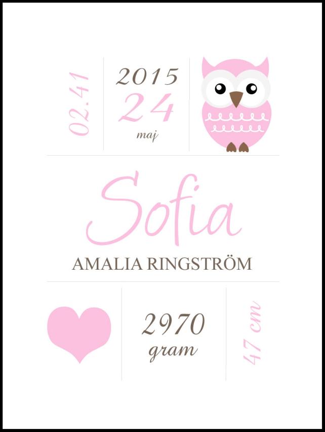 Owl Birth Póster Pink