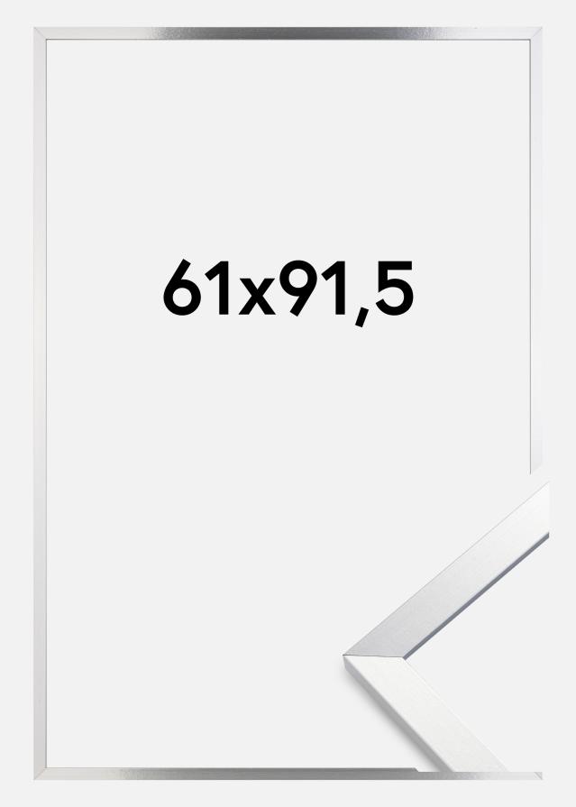 Marco Trendy Vidrio acrílico Plata 61x91,5 cm