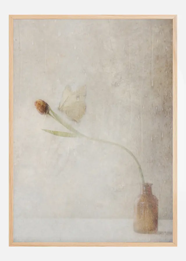 Ephemeral Meeting Póster