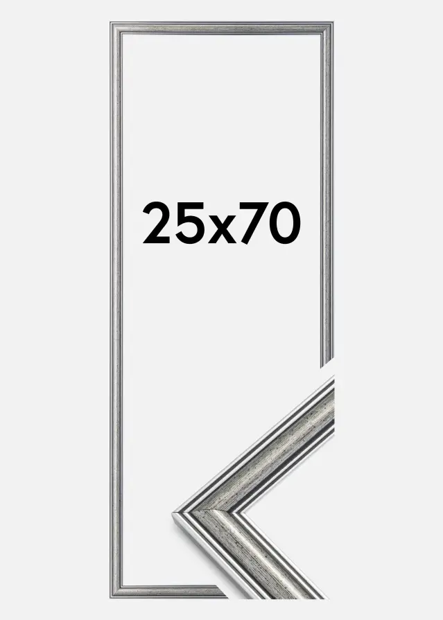 Marco Frigg Plateado 25x70 cm