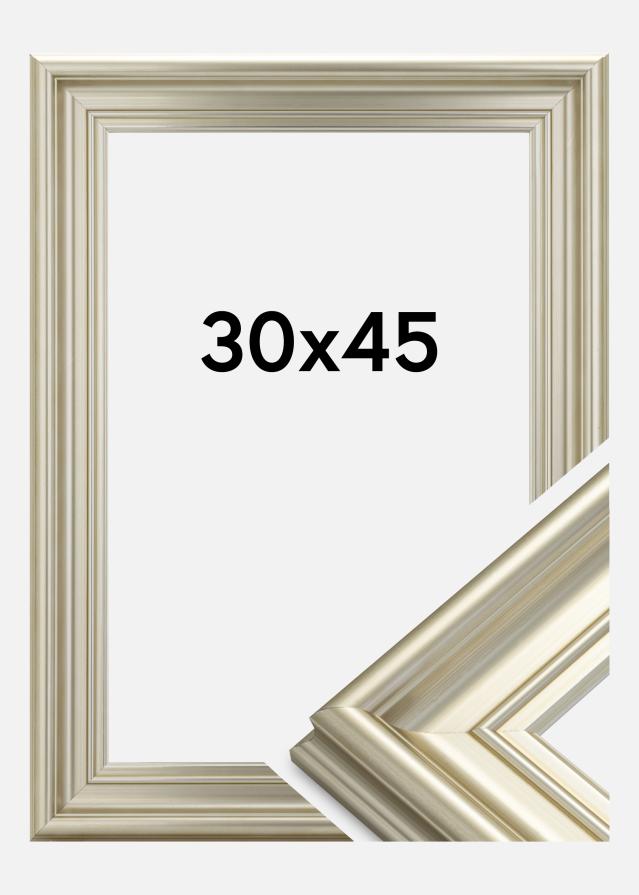 Marco Mora Premium Plateado 30x45 cm