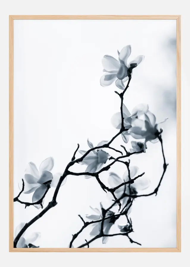 The White Queen Póster