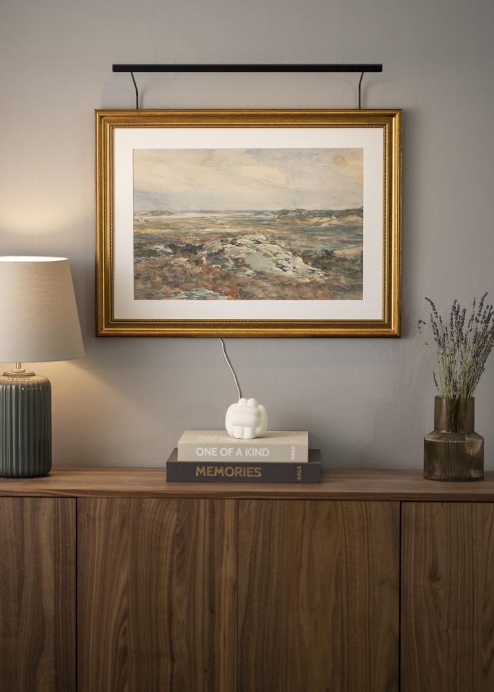 BLP 117 iluminación para marco 65 cm - Negro