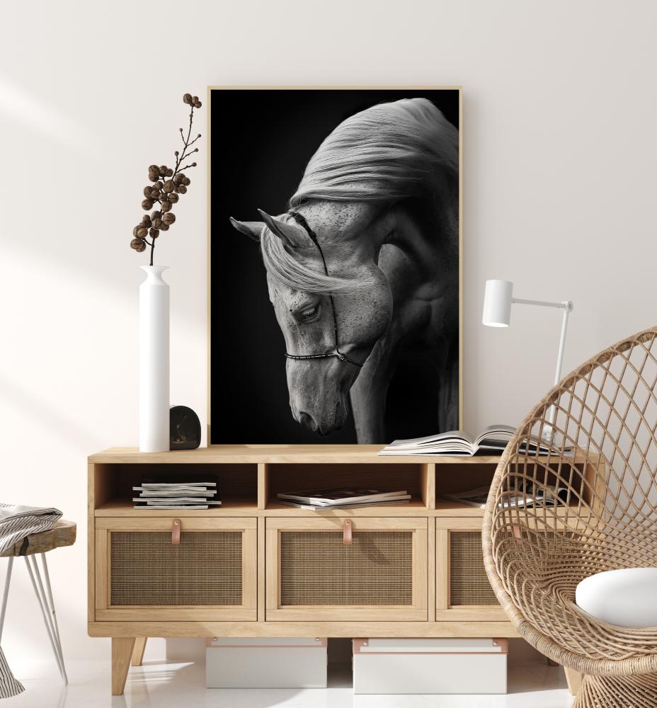 White uds.allion Póster