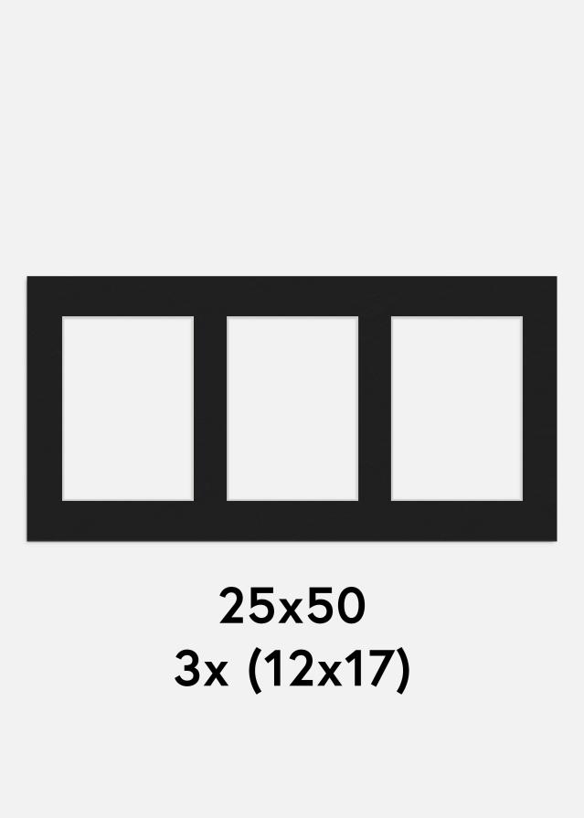 Paspartú Negro 25x50 cm - Collage 3 Fotos (12x17 cm)
