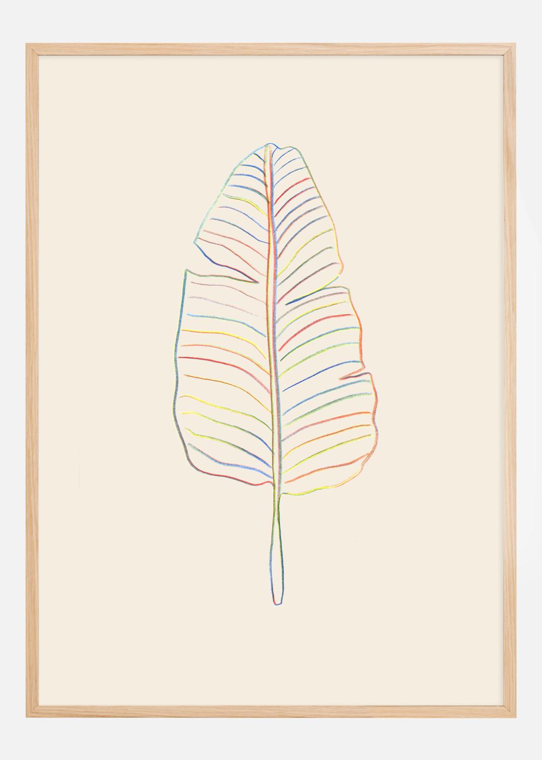 Product Image for Banana Rainbow Leaf Póster (21x29.7 cm (A4))