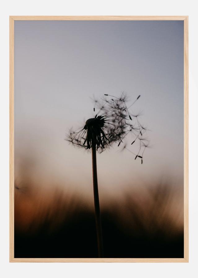 Spread the seeds Póster