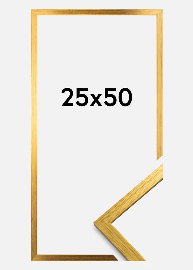 Marco Edsbyn Vidrio acrílico Dorado 25x50 cm