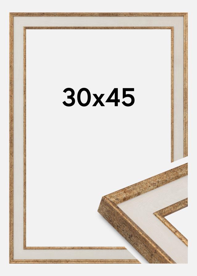 Marco Dolly Vidrio acrílico Oro 30x45 cm