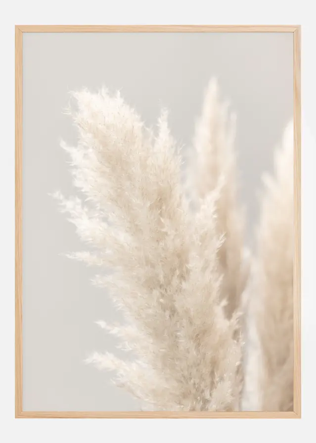 Pampas Grass IIII Póster