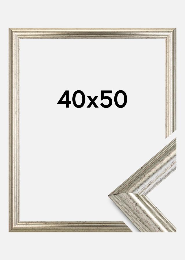 Marco Västkusten Vidrio acrílico Plateado 40x50 cm