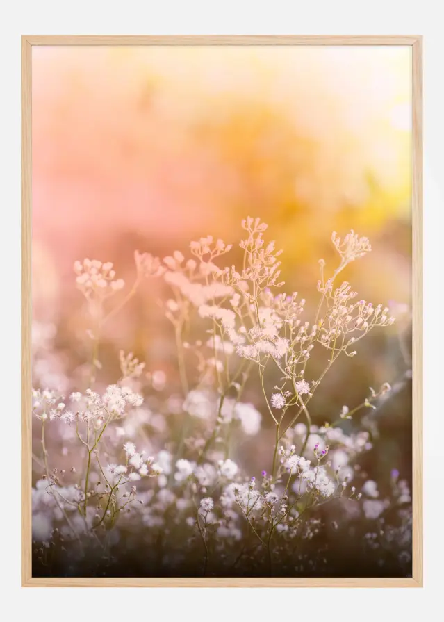 A Beautiful Summer Evening Póster