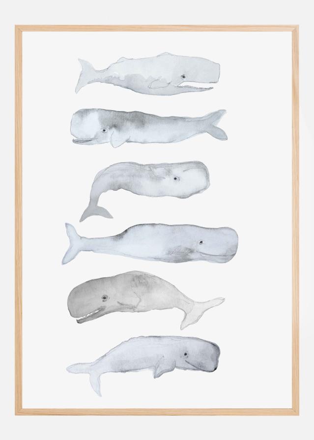 Kids Line Whale Art Póster