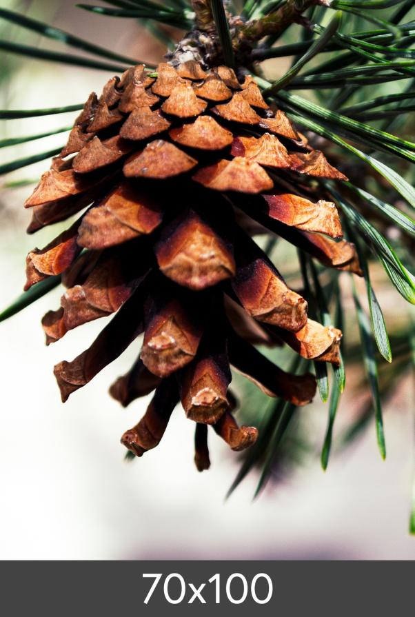 Ampliación FineArt Bamboo 290 g