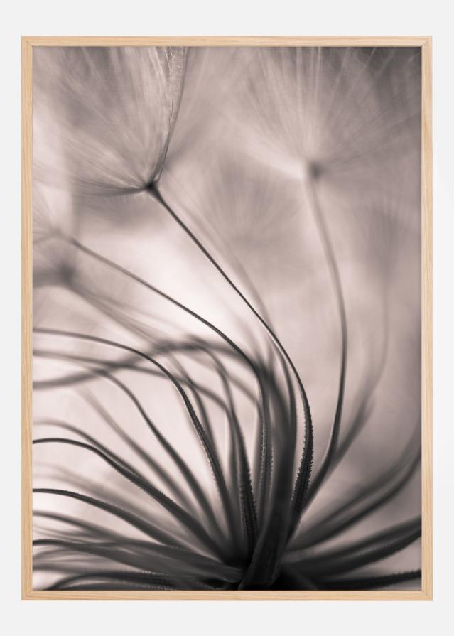 Faded Blurry Flower Póster