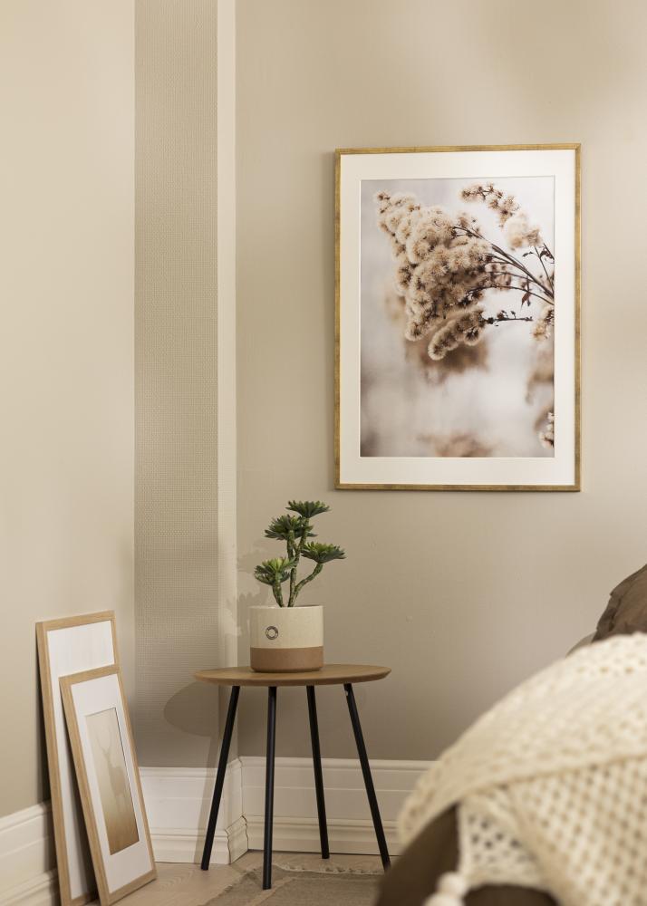 Marco Galant Vidrio acrílico Dorado 50x70 cm