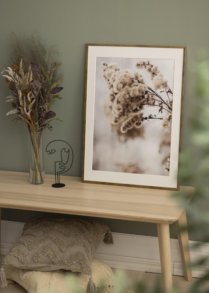 Marco Galant Vidrio acrílico Dorado 50x70 cm