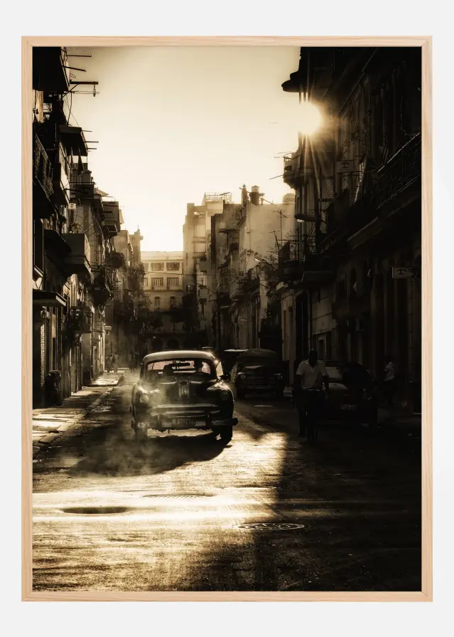 Mystic morning in Havana Póster