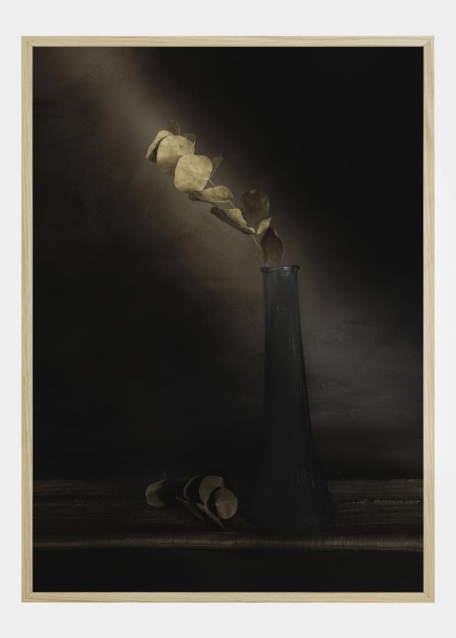 Partially Lighted Póster