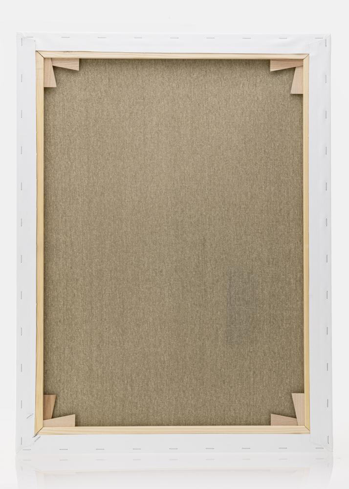 Lienzo para pintar Premium Blanco 60x80 cm