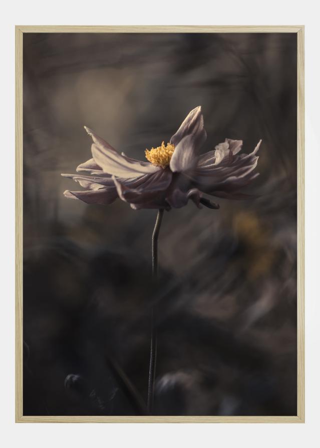 Japanese Style Póster