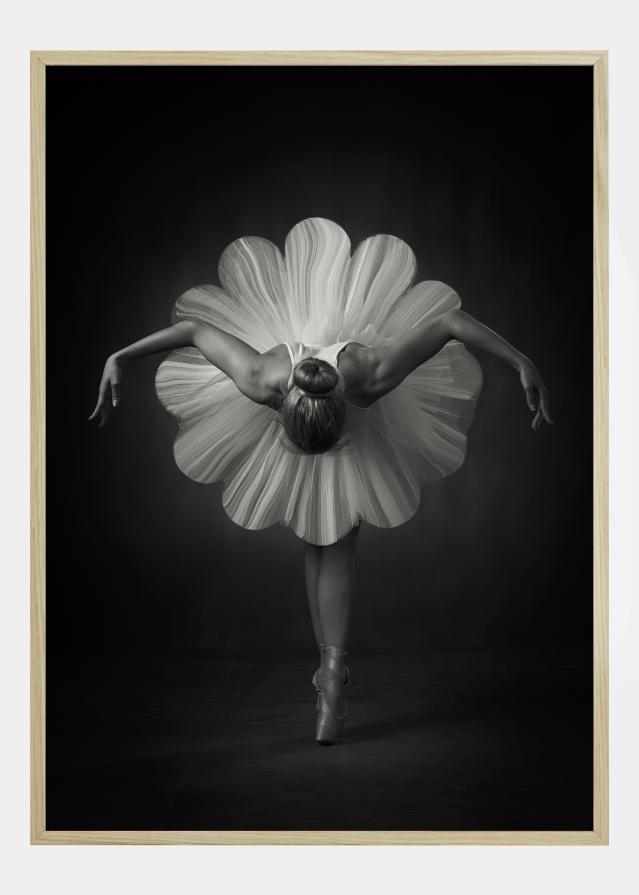 Floral Ballet Póster