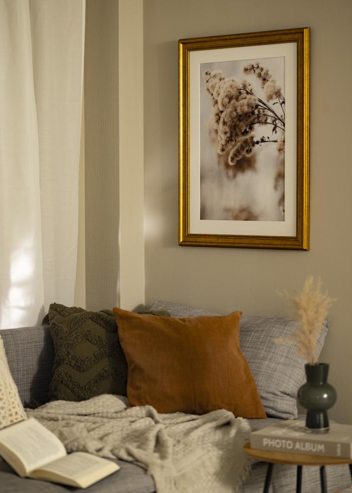 Marco Rokoko Vidrio acrílico Dorado 50x50 cm