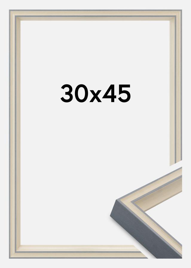 Marco Riga Vidrio acrílico Gris 30x45 cm