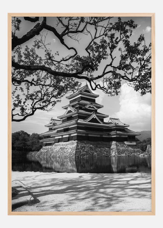 Matsumoto Castle Póster