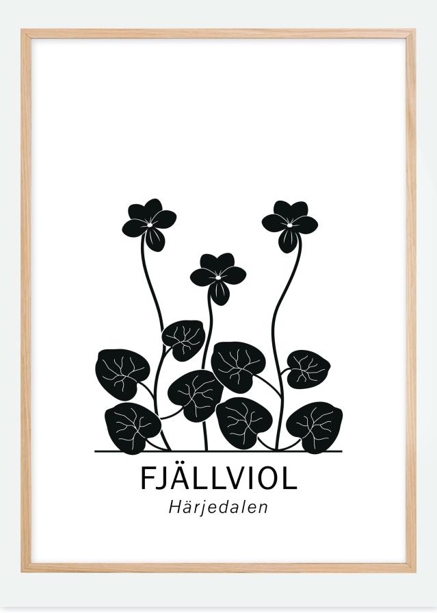 Fjällviol - Härjedalen Póster