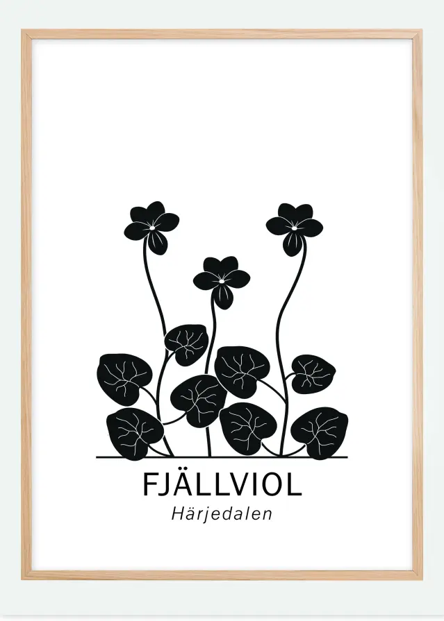 Fjällviol - Härjedalen Póster