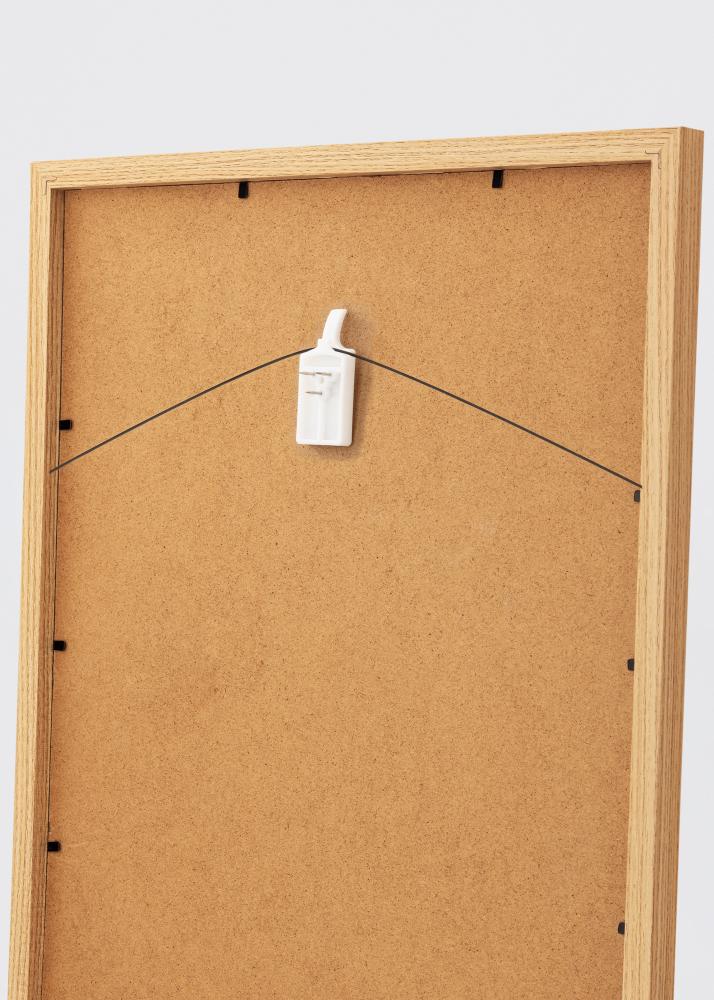 Colgador de cuadro para todo tipo de paredes - BGA 2-piezas