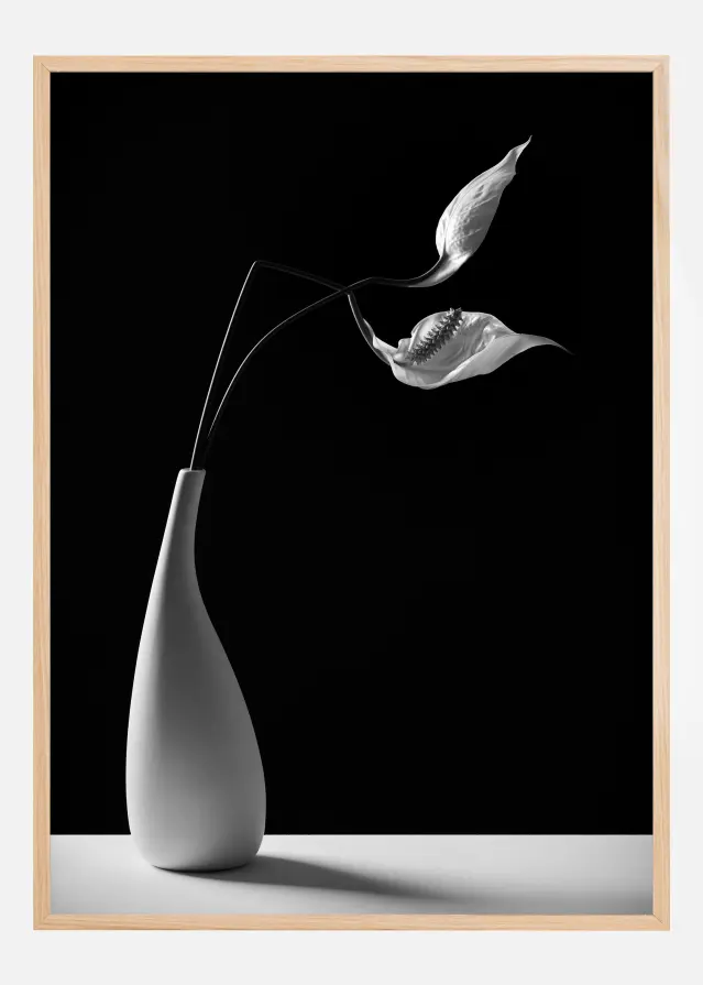 Passionately Póster