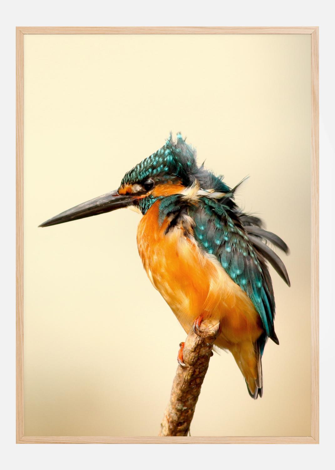 Product Image for Bird On Tree Póster (21x29.7 cm (A4))