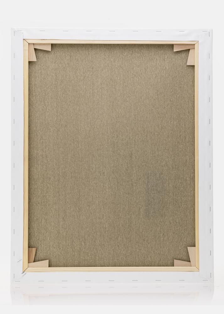 Lienzo para pintar Premium Blanco 40x50 cm