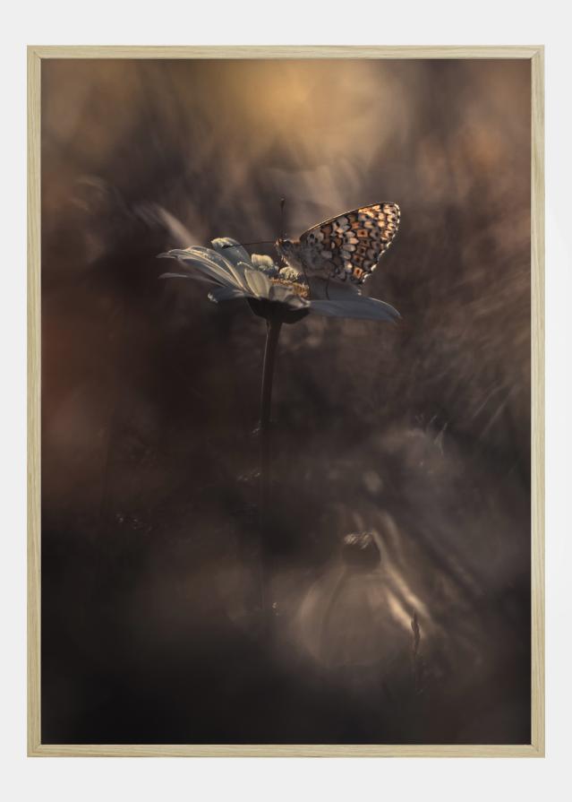 Pyrotechnics Póster