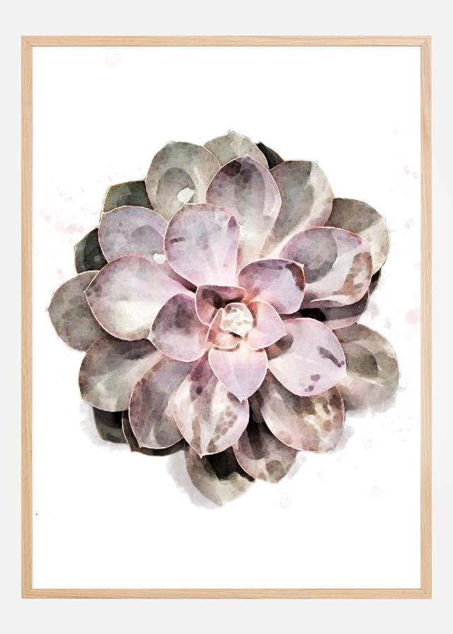 Succulent Póster