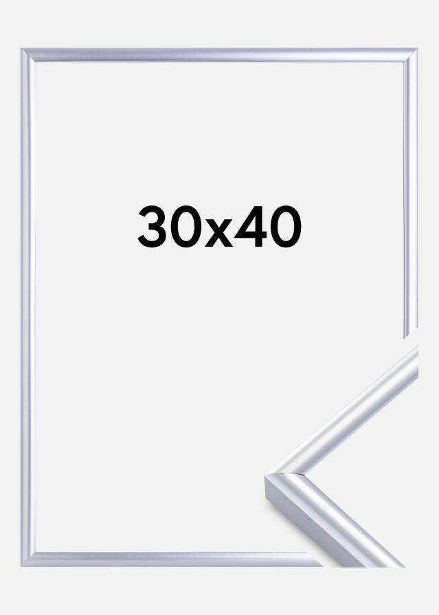 Marco Victoria Vidrio acrílico Plateado 30x40 cm