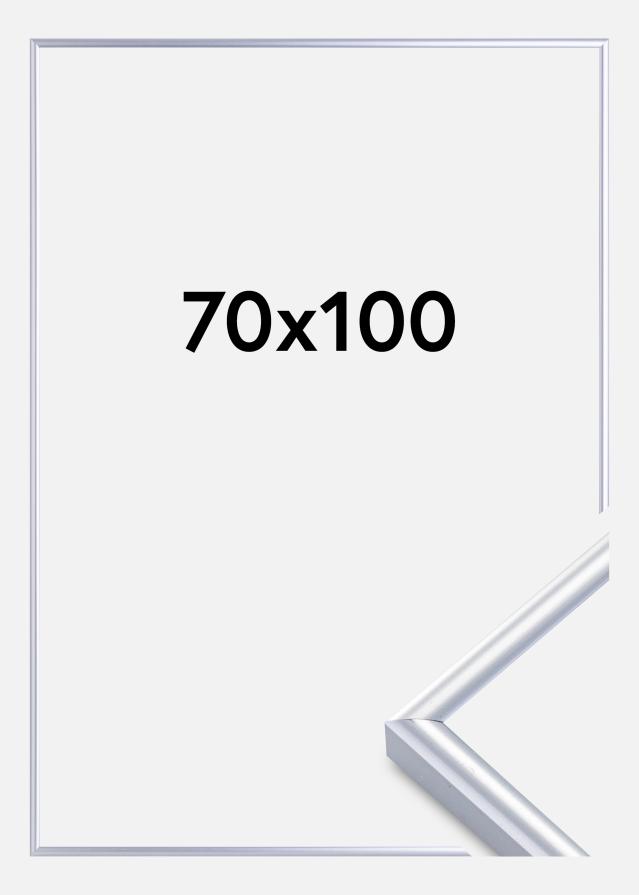 Marco Victoria Vidrio acrílico Plateado 70x100 cm