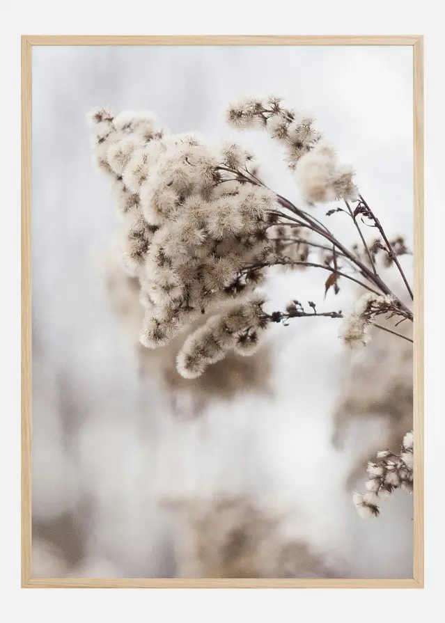 Winter Is Coming Póster