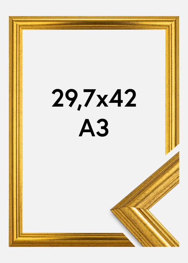 Marco Västkusten Vidrio acrílico Dorado 29,7x42 cm (A3)