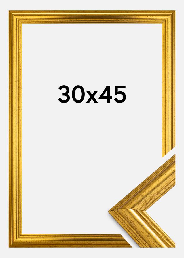 Marco Västkusten Vidrio acrílico Dorado 30x45 cm