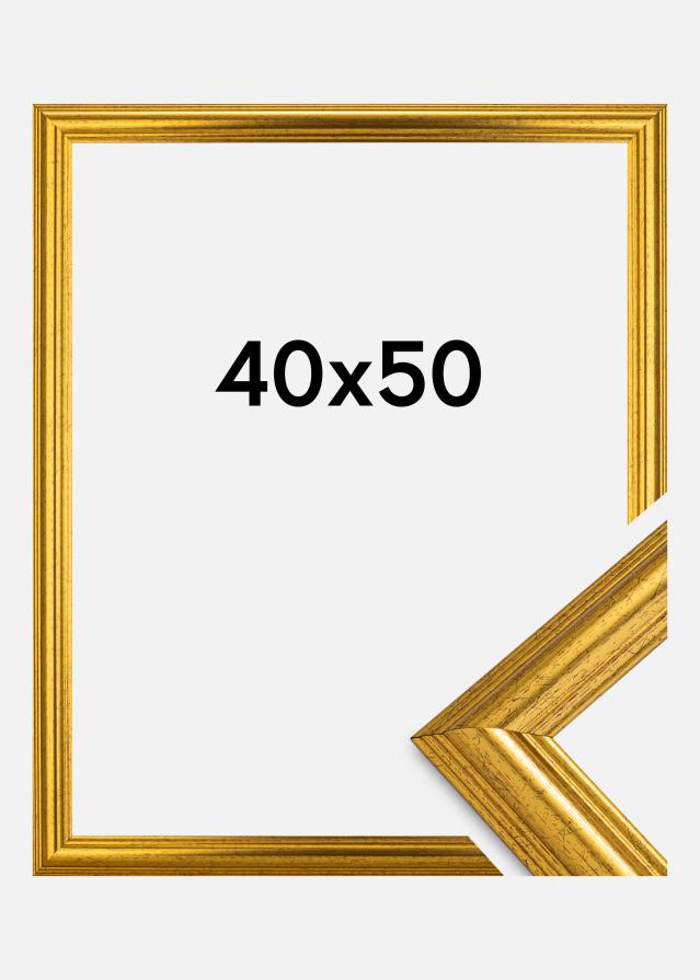 Marco Västkusten Dorado 40x50 cm