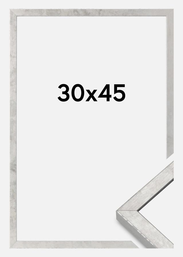 Marco Ares Vidrio Acrílico Plateado 30x45 cm