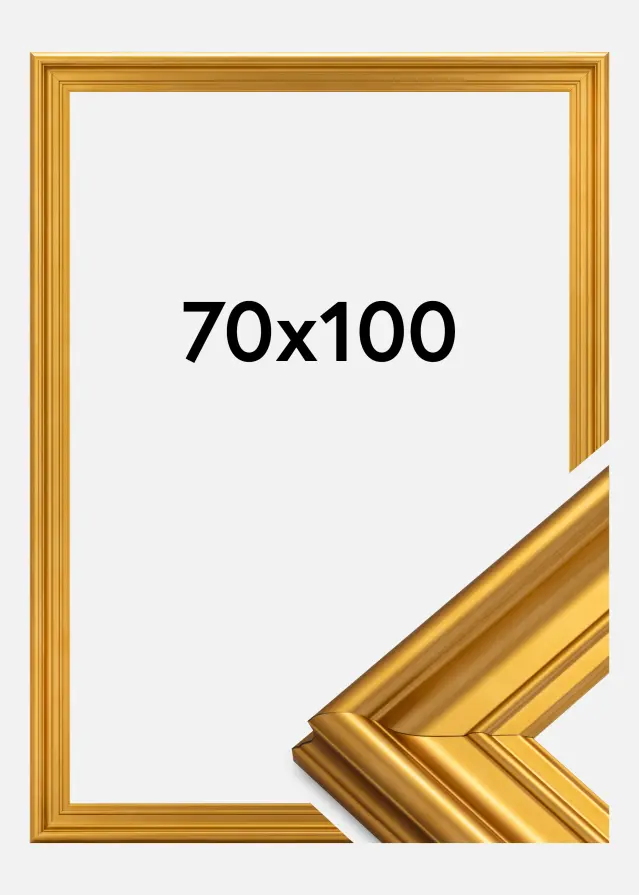 Marco Mora Premium Dorado 70x100 cm