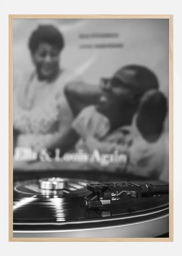 Vinyl vintage Póster