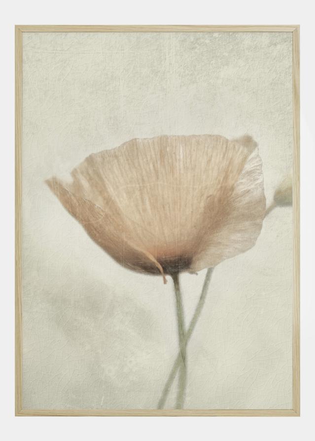 Jewel Of Natural Póster