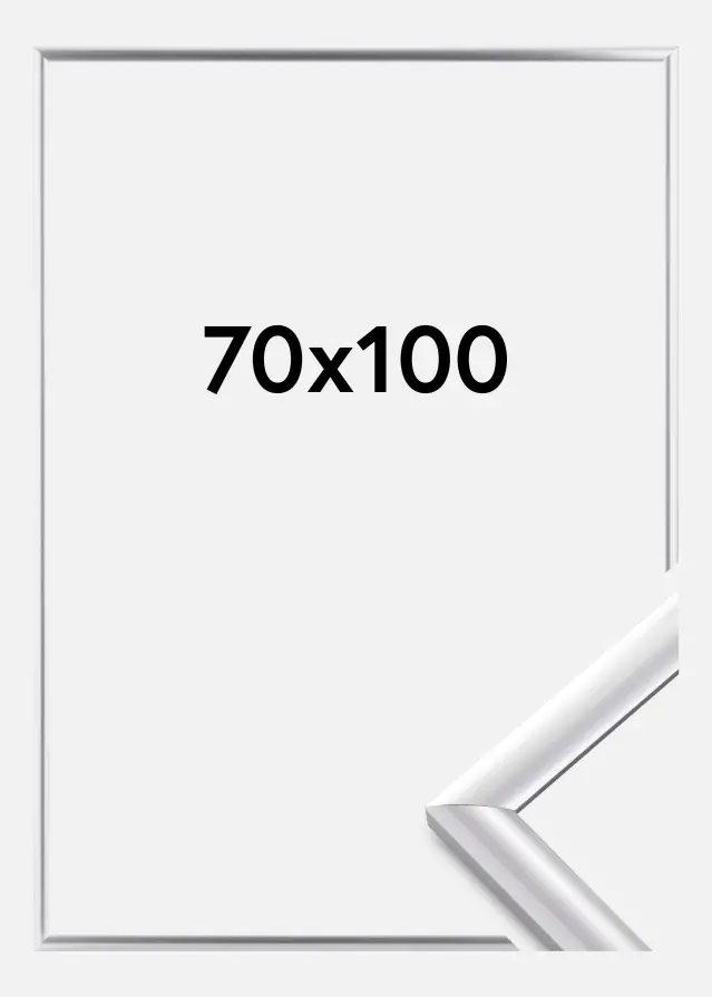 Marco Trendstyle Plateado 70x100 cm