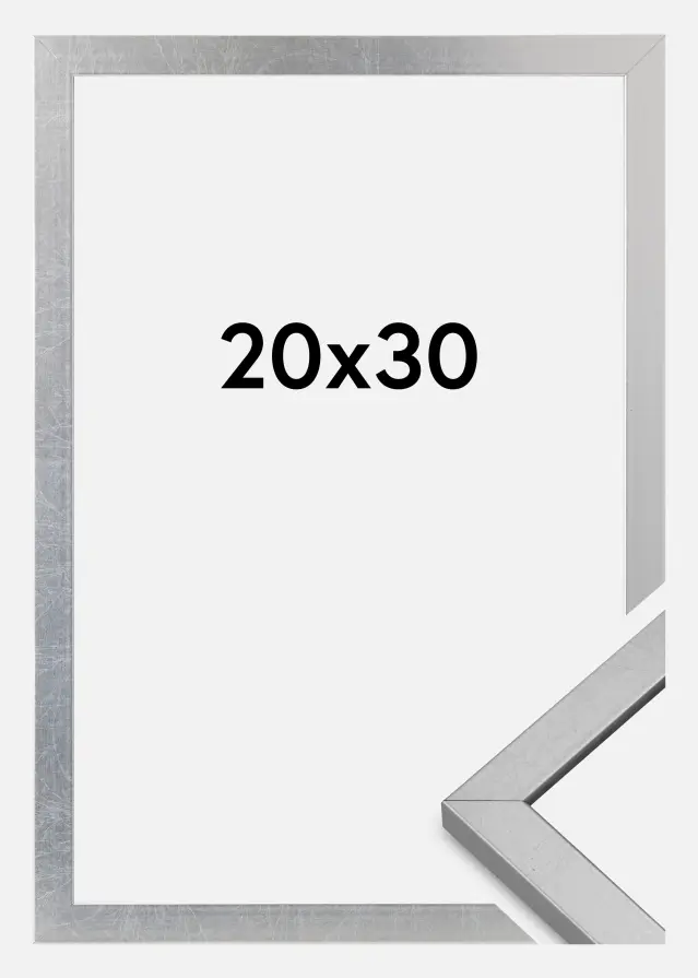 Marco Minerva Vidrio acrílico Plateado 20x30 cm