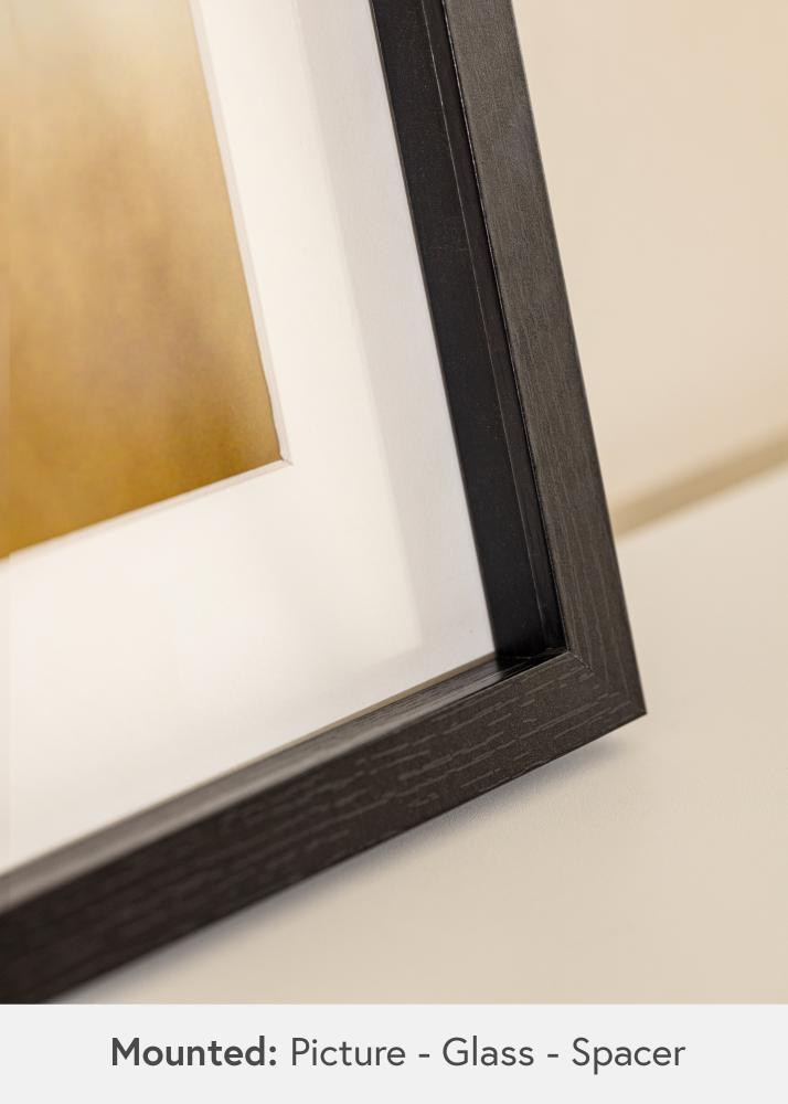 BGA Marco caja Vidrio acrílico Negro 50x100 cm